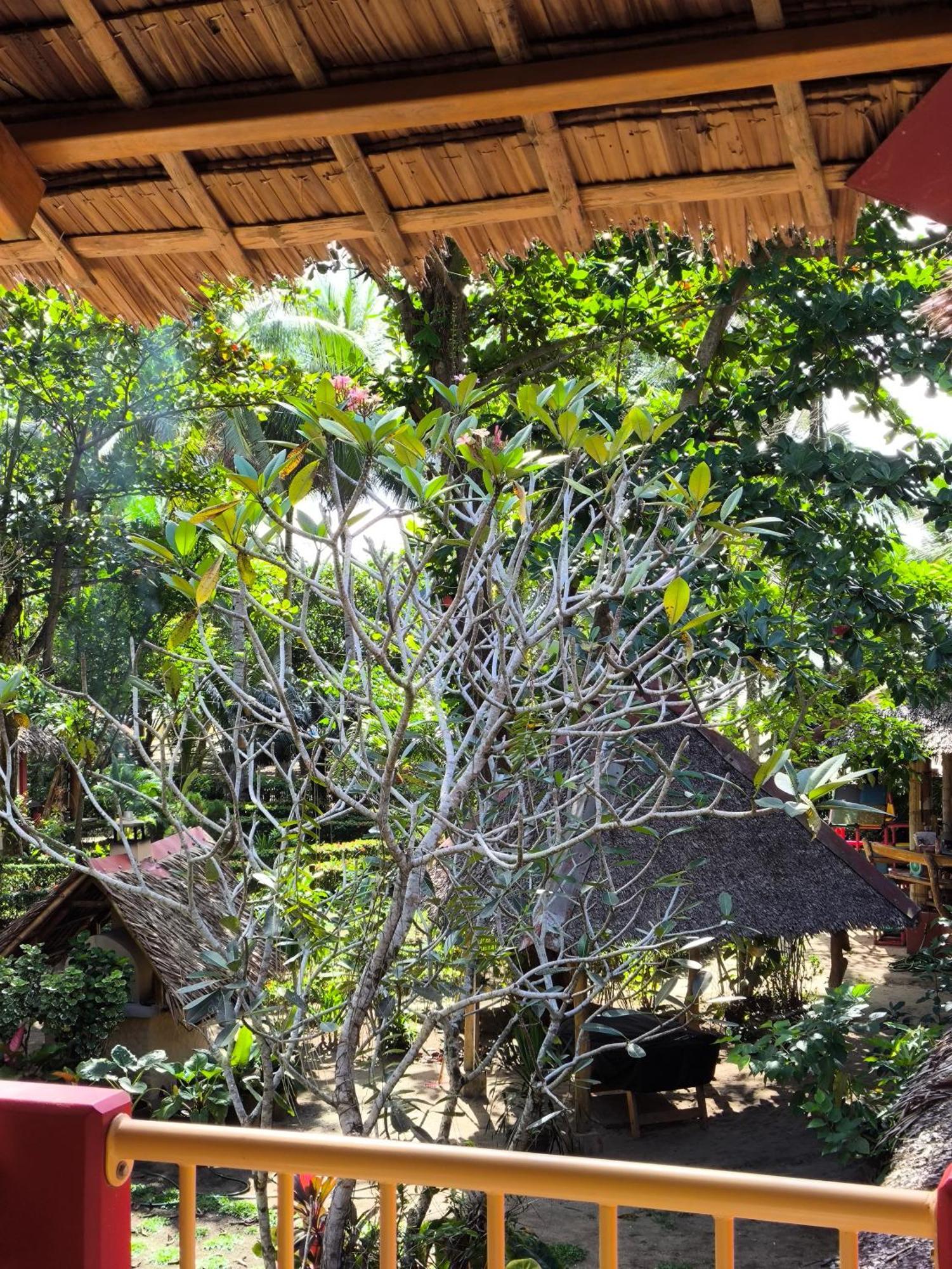 Sulu Sunset Beach Resort Nauhang Luaran gambar